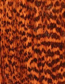 bois précieux ( amourette )