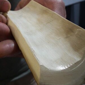 Mammouth matière précieuse